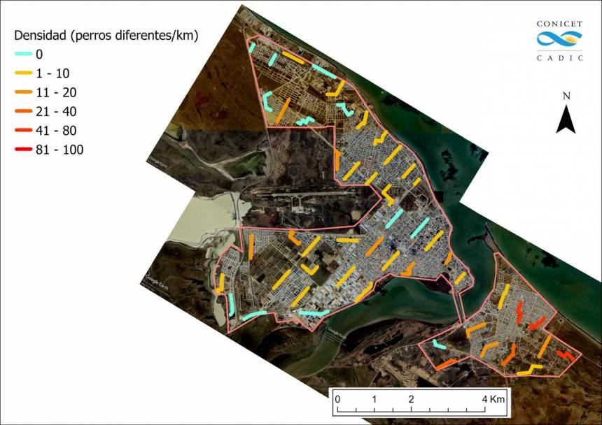 Se realizó el relevamiento provincial de perros sueltos, un paso clave para fortalecer el cuidado responsable. 