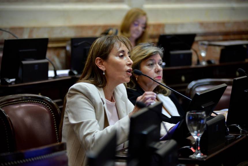 Senadores patagónicos impulsarán un proyecto para defender la Tarifa Social del gas