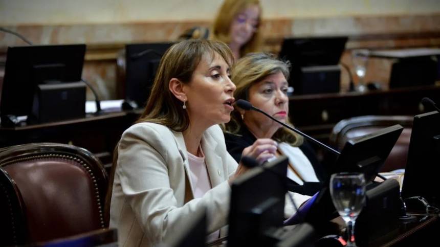 «Ajustan sobre los huesos rotos: la senadora que frenó la reforma y denunció el apagón industrial en Tierra del Fuego»