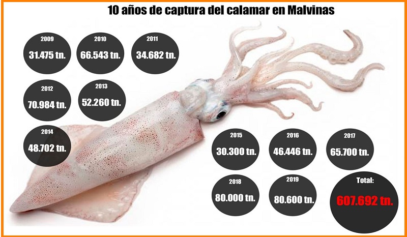 El saqueo de los recursos naturales del mar argentino continua..