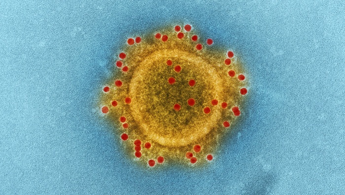 Se declaró el estado de emergencia sanitaria ante el aumento acelerado de casos de síndrome respiratorio agudo grave (SRAG). Foto: Unsplash.