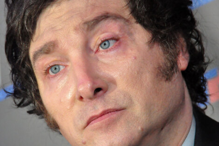 Javier Milei, que había sido anunciado como figura central del festival de Vox, canceló el viaje a España.. Imagen: Archivo